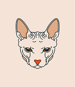 nft-img